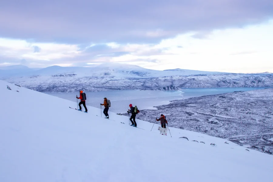 Guided Ski Touring in Abisko